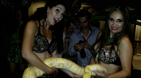 Slangendans entertainment
