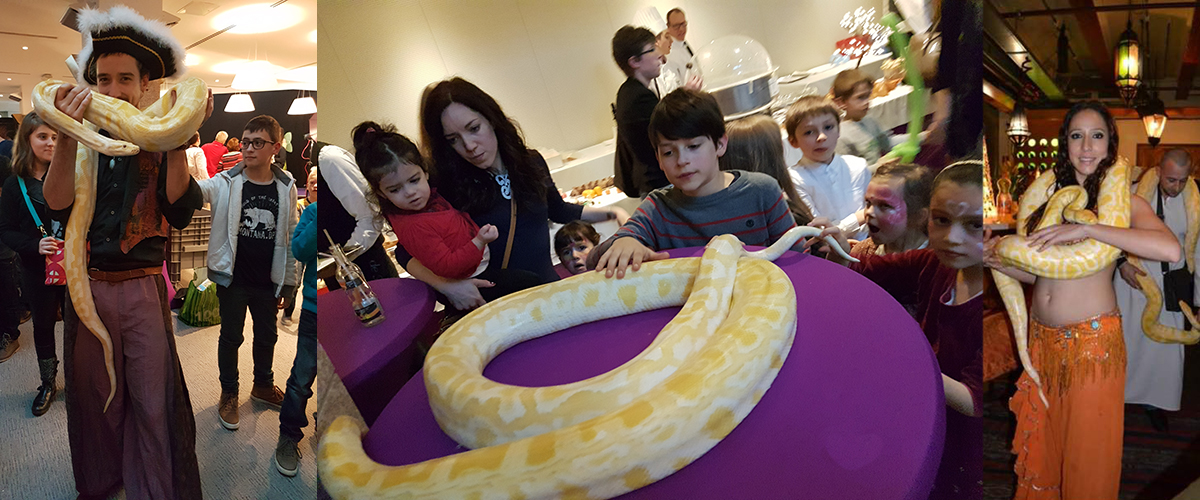 Grote slangen show