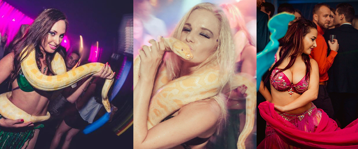 Slangendans voor Nachtclub